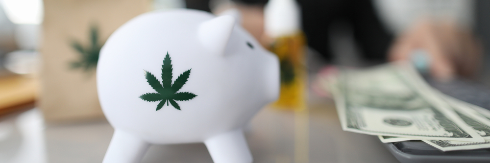 Marijuana Leaf on Side of Piggy Bank